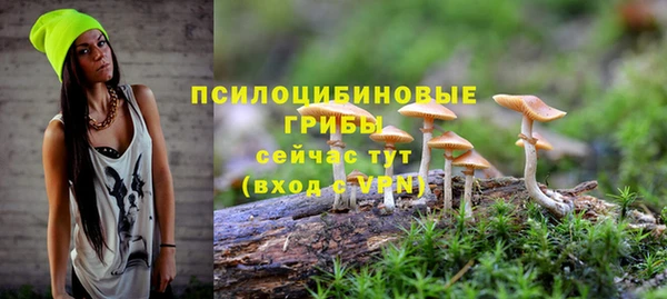 прущие крисы Абдулино